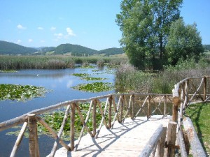 Parco di Colfiorito palude