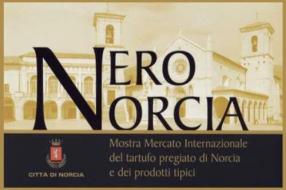 mostra-mercato-tartufo-nero-a-norcia-286x190